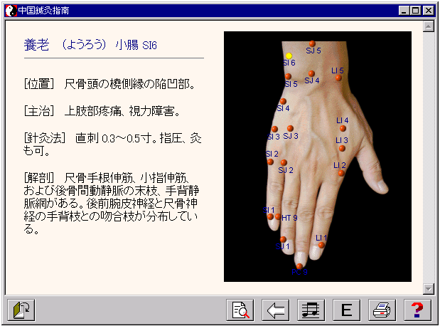 電子ブック「中国針灸指南」イメージ